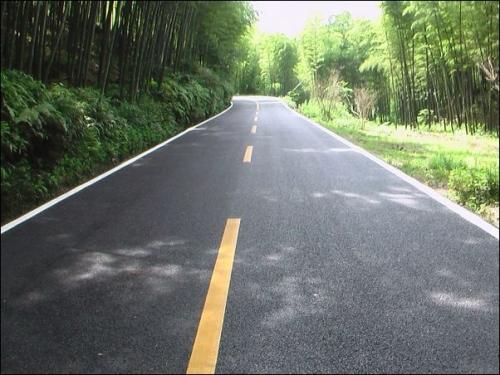 道路密缝胶——湘潭红星公路材料